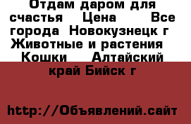 Отдам даром для счастья. › Цена ­ 1 - Все города, Новокузнецк г. Животные и растения » Кошки   . Алтайский край,Бийск г.